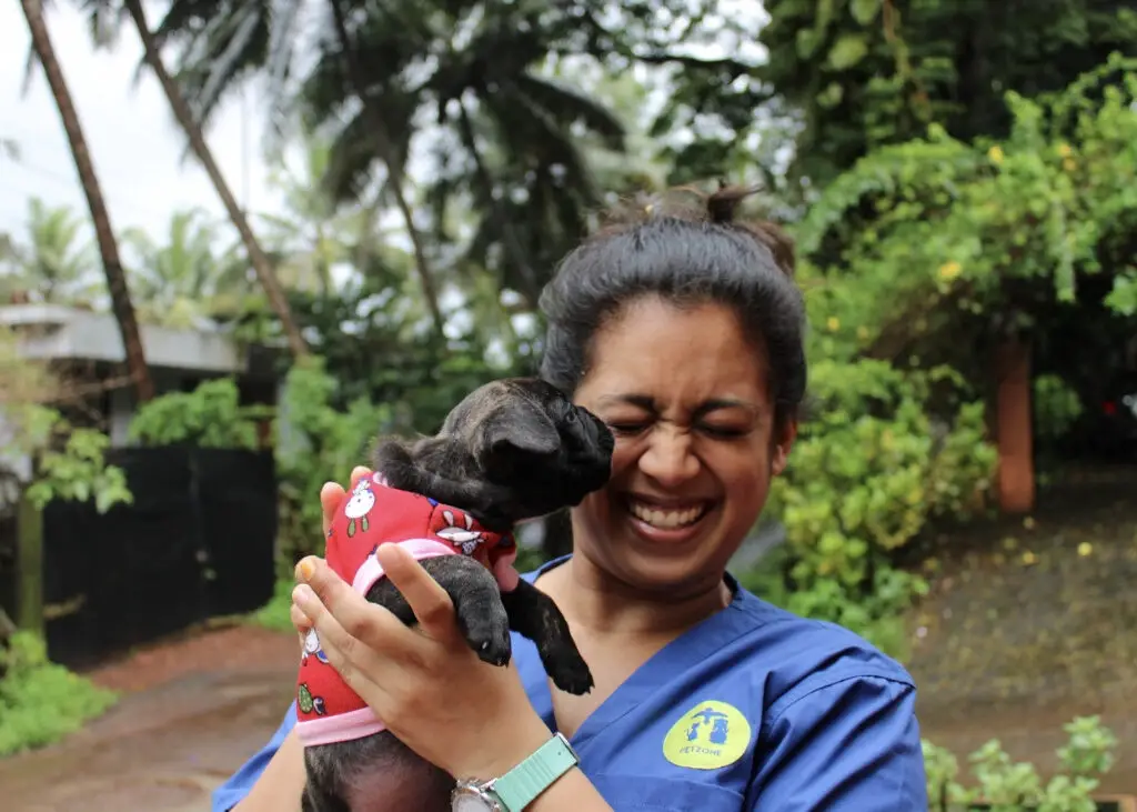 Pet Zoos: A Journey into the World of Animal Companions