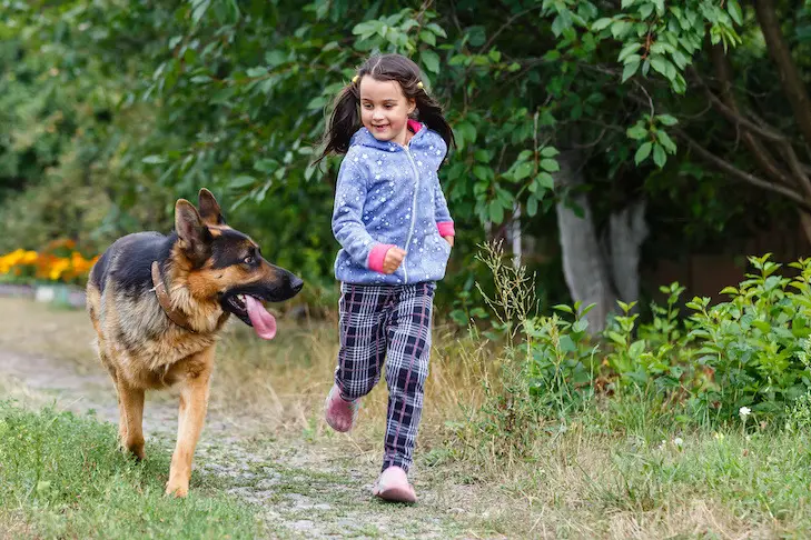 Pet Zoos: A Journey into the World of Animal Companions