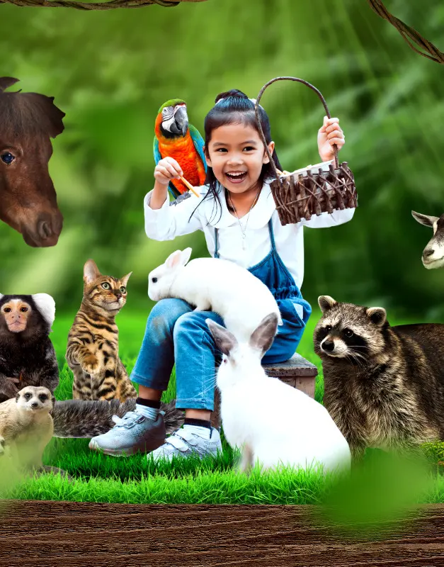 A Journey into the World of Animal Companions