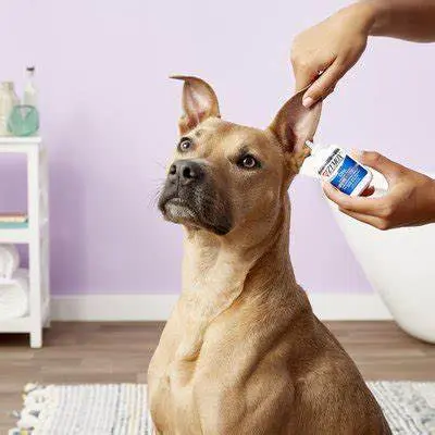 ear treatment