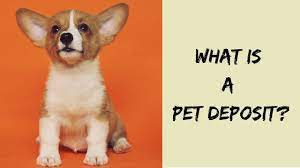 Are Pet Deposits Refundable?