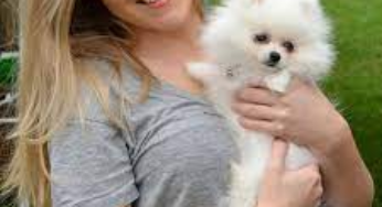 Unlocking the Joy of Companionship: Finding the Perfect Pet for Adoption Near You