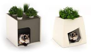 Pet for House Planters: Adding Furry Friends to Your Indoor Jungle
