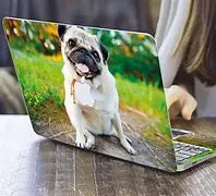 Pet for Macbook Pro