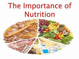Weight Management through Nutrition