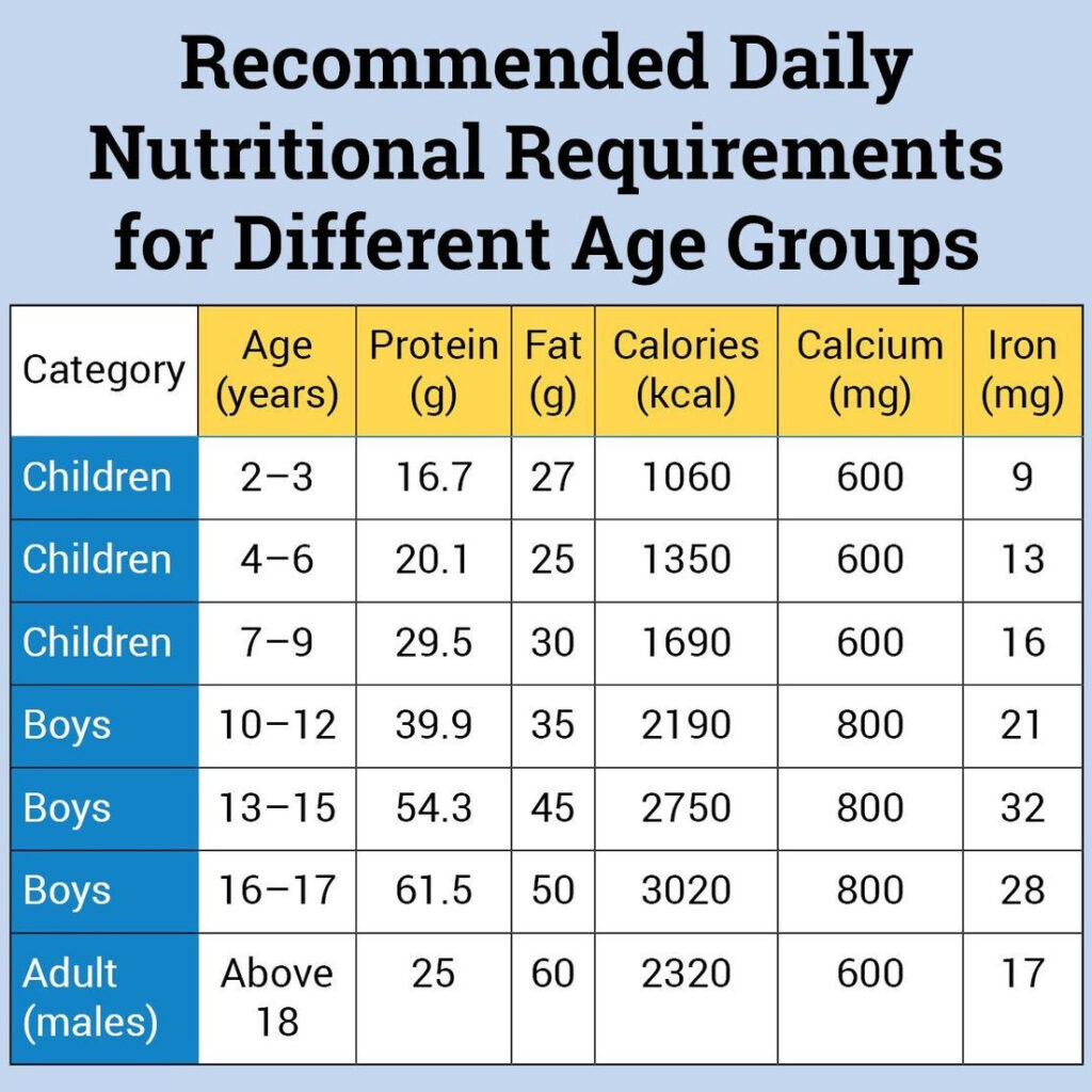 calorie needs for different age group