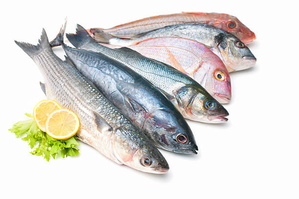 Fish are also anti-inflammation foods