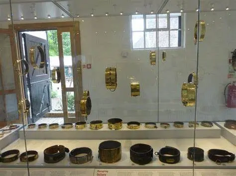 The Dog Collar Museum (Kent, England)