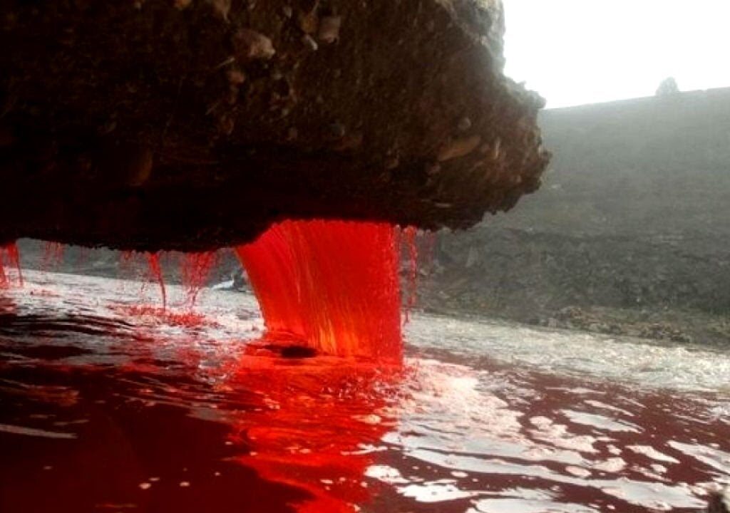The Blood Falls of Antarctica 
