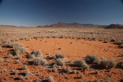 The Enigmatic Fairy Circles of Namibia 