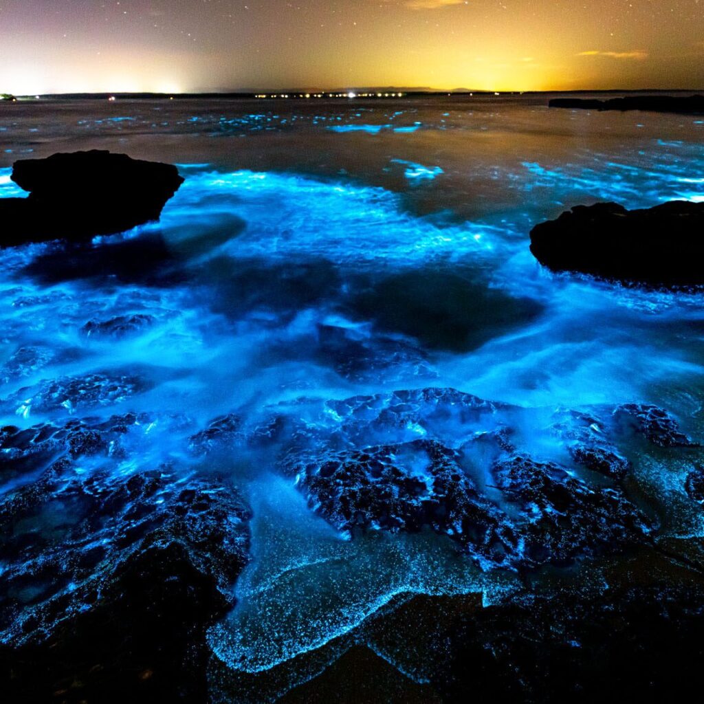The Glowing Waves of Bioluminescent Bays
