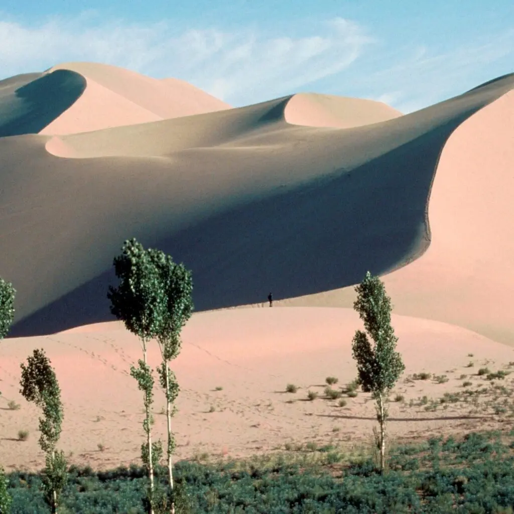 The Singing Sands of the Gobi Desert