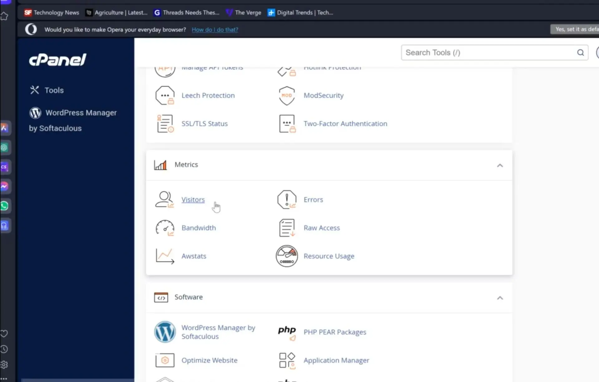 how to identify WordPress site overload causes: Check real visitors on your cPanel