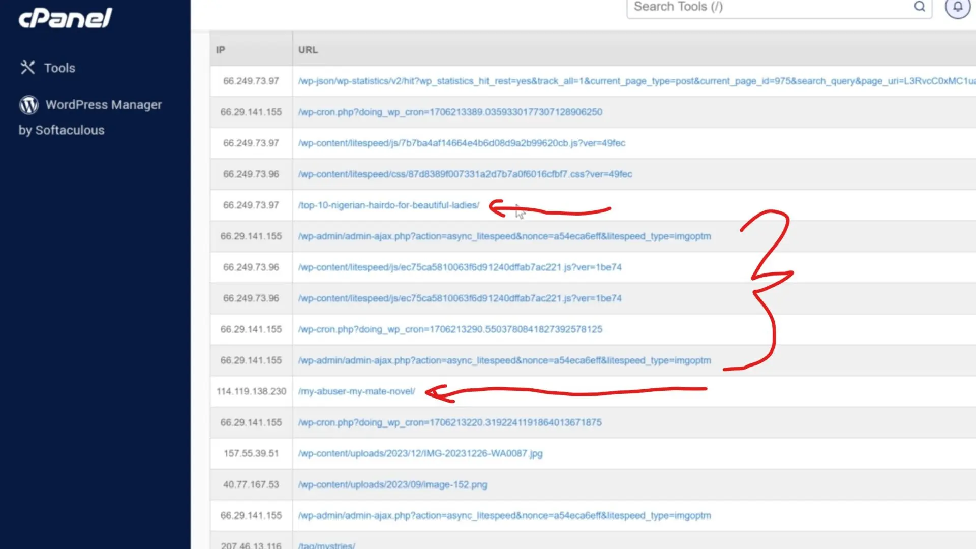 Atcual visitors on your website versus WordPress bots crawling