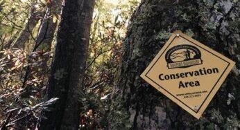 How Visiting Protected Areas Can Safeguard Our Planet