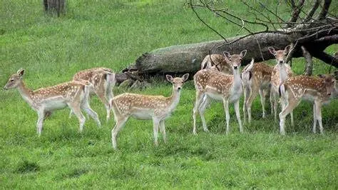 diversity of protected area