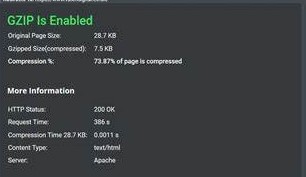 Fix an Overloaded WordPress Website:  enable GZIP-Compression