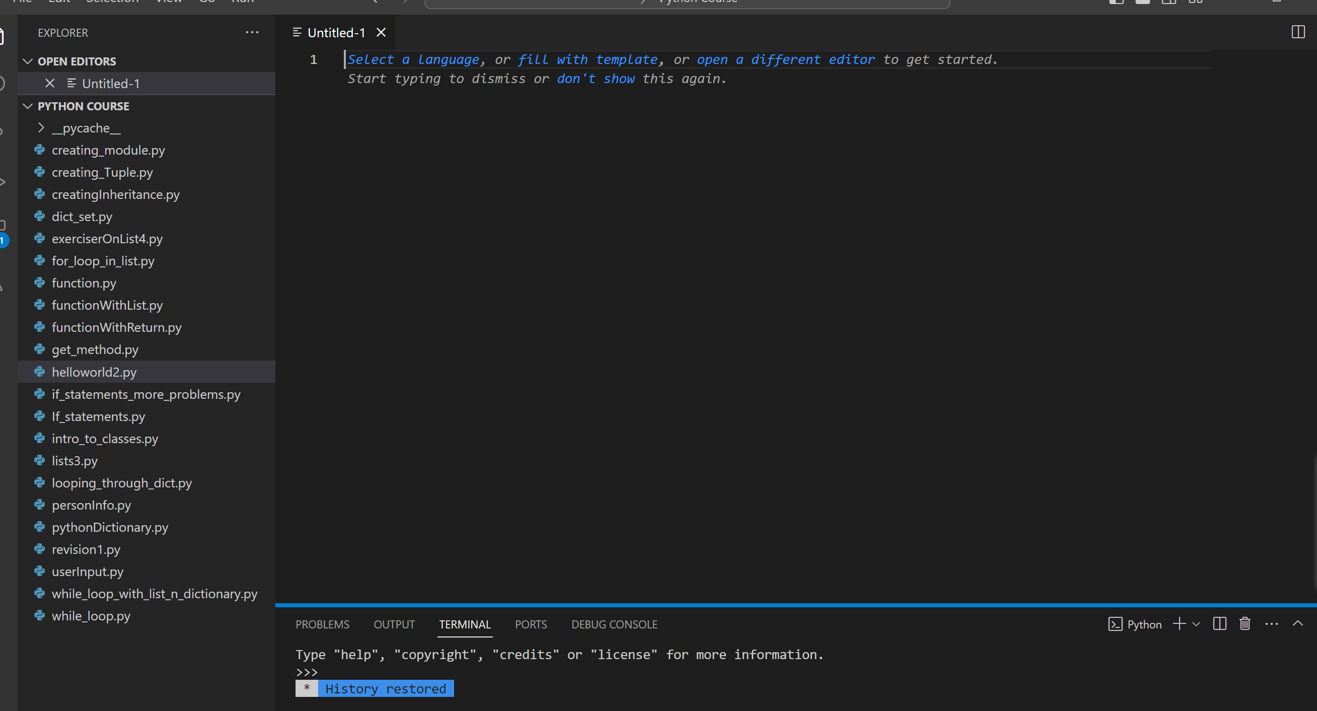 creating a new file in python language on VSCode editor