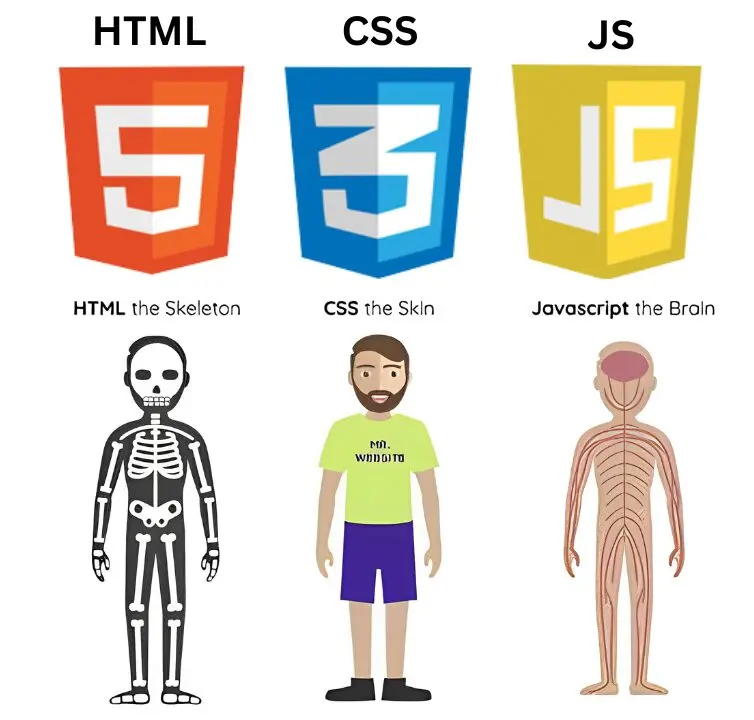 HTML, CSS and JS components of front-end web development