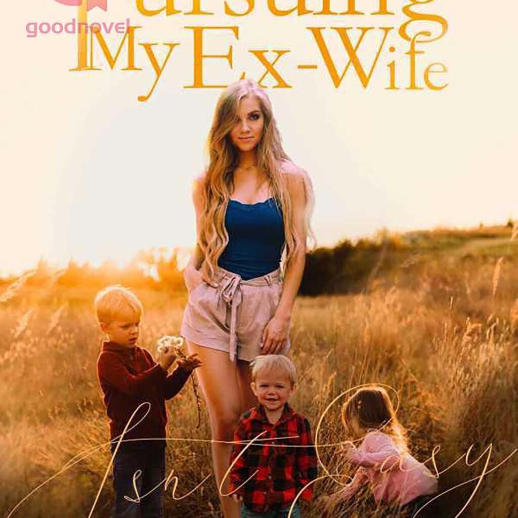 pursuing my ex-wife free novel