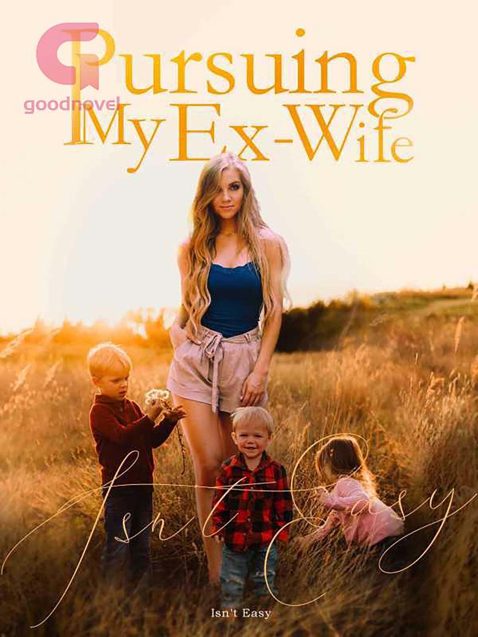 pursuing my ex-wife free novel