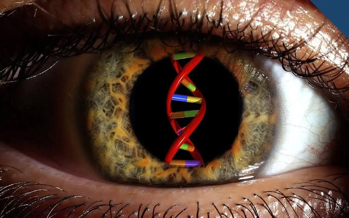 Tech that Offers Hope for Cure of Blindness without Surgery: Gene Therapy