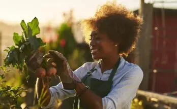 Creative hobbies to pick up in your free time