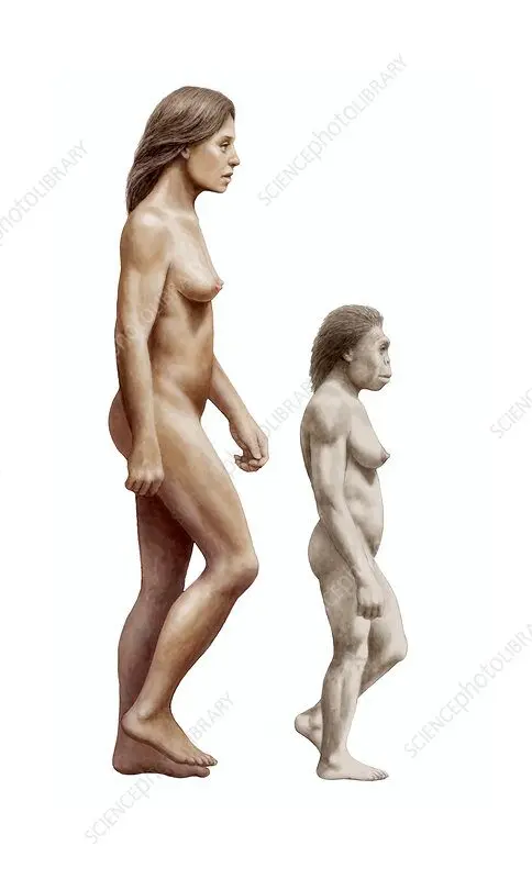 Modern Human and Homo Floresiensis