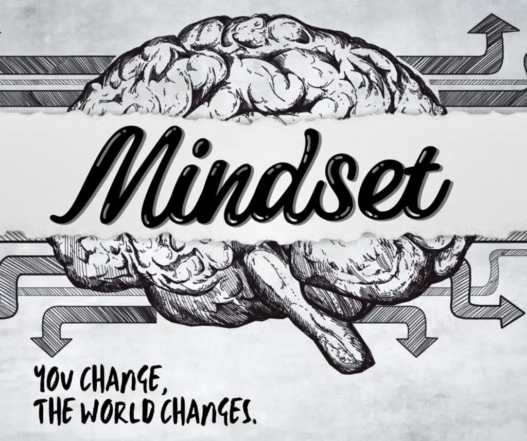 Developing a Growth Mindset: Embracing Challenges as Stepping Stones to Success