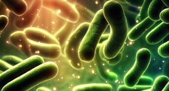 The Invisible Majority: Unveiling the Fascinating World of Microbes