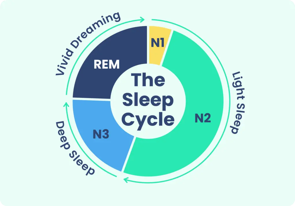 The Science of Sleep: Optimizing Your Sleep for Peak Performance