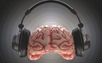 The Power of Music: How Melodies Affect Our Emotions and Brain