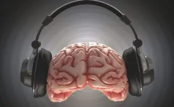 The Power of Music: How Melodies Affect Our Emotions and Brain