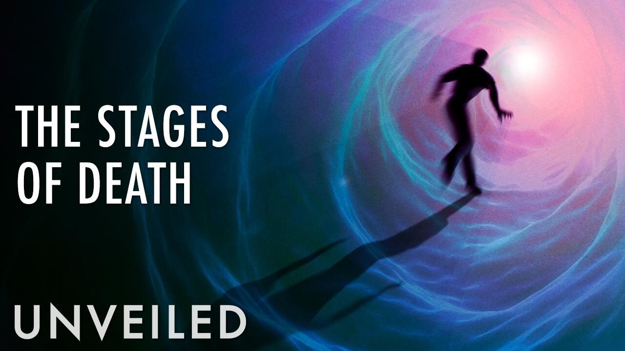 What Happens When We Die