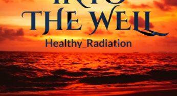 Novel Summary: Into The Well