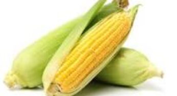 Maize (ZEA MAYS): The Health Benefit
