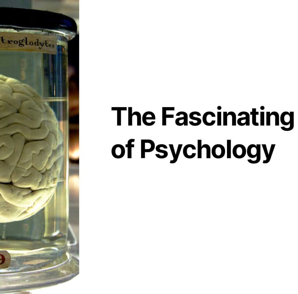 Strange and Surprising World of Psychology