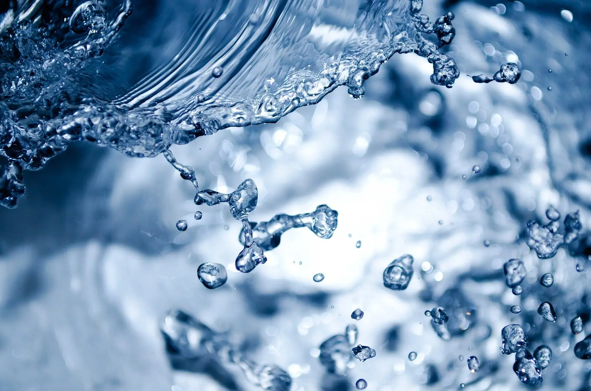 Reasons Why You Need Water
