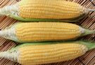 The Unexpected Power of Corn