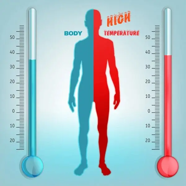 Reasons Why You Need Water