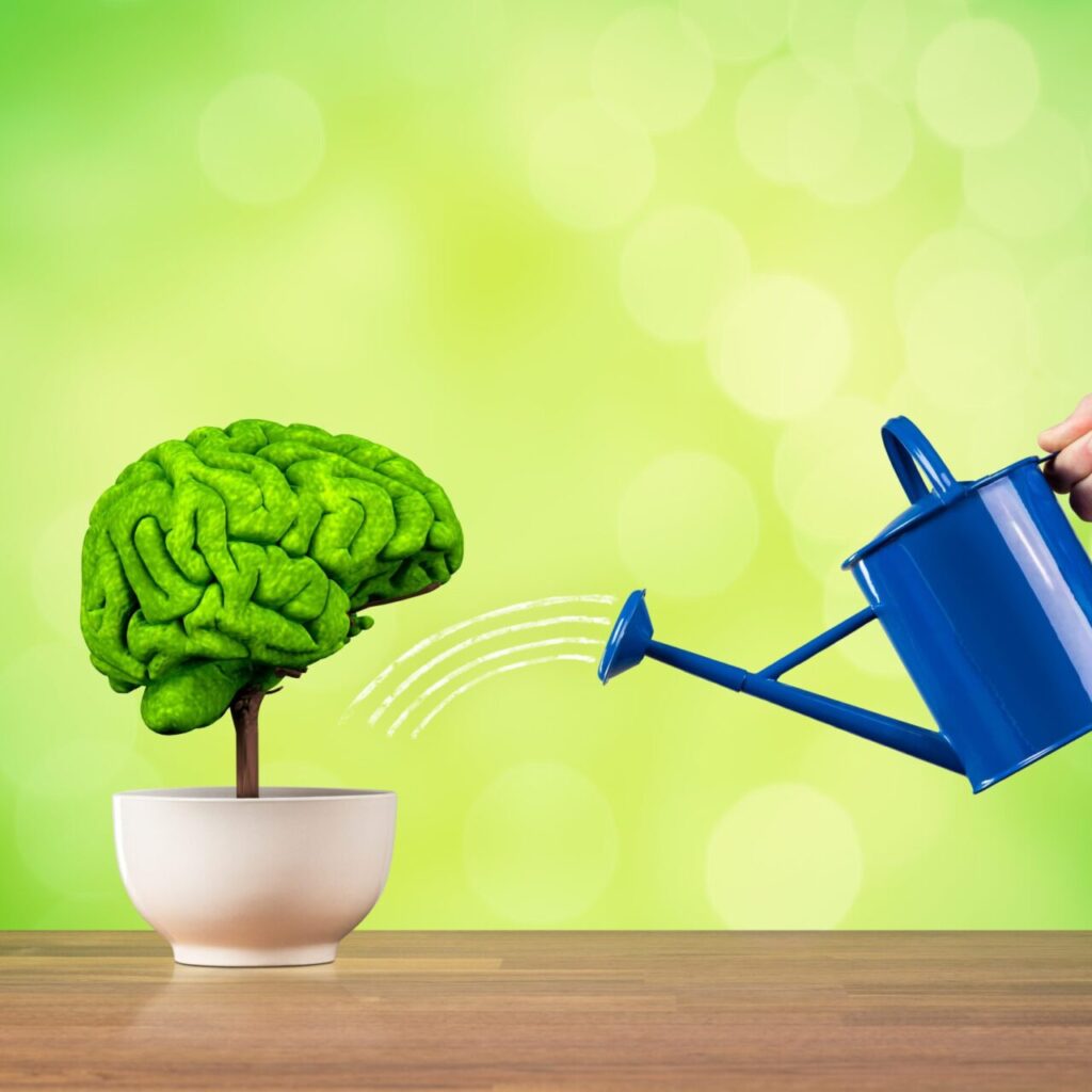 Reasons Why You Need Water