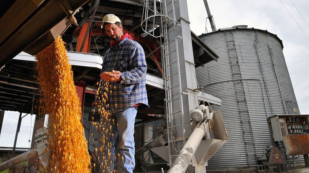 The Unexpected Power of Corn