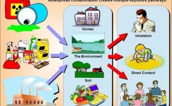 Demystifying Chemical Exposure in Everyday Life