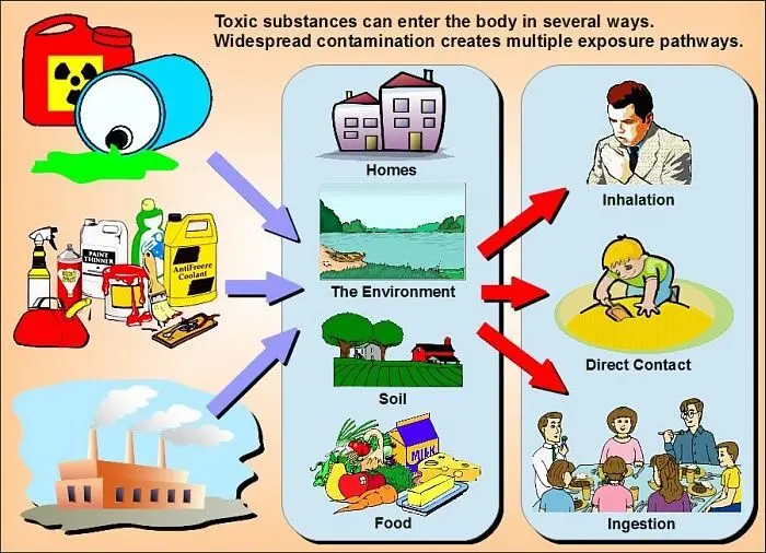 Demystifying Chemical Exposure in Everyday Life
