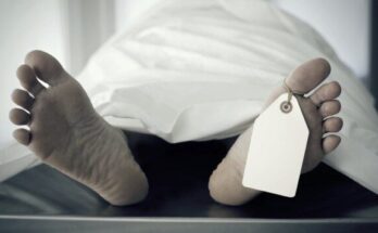 Weird and Wonderful Things That Happen After Death