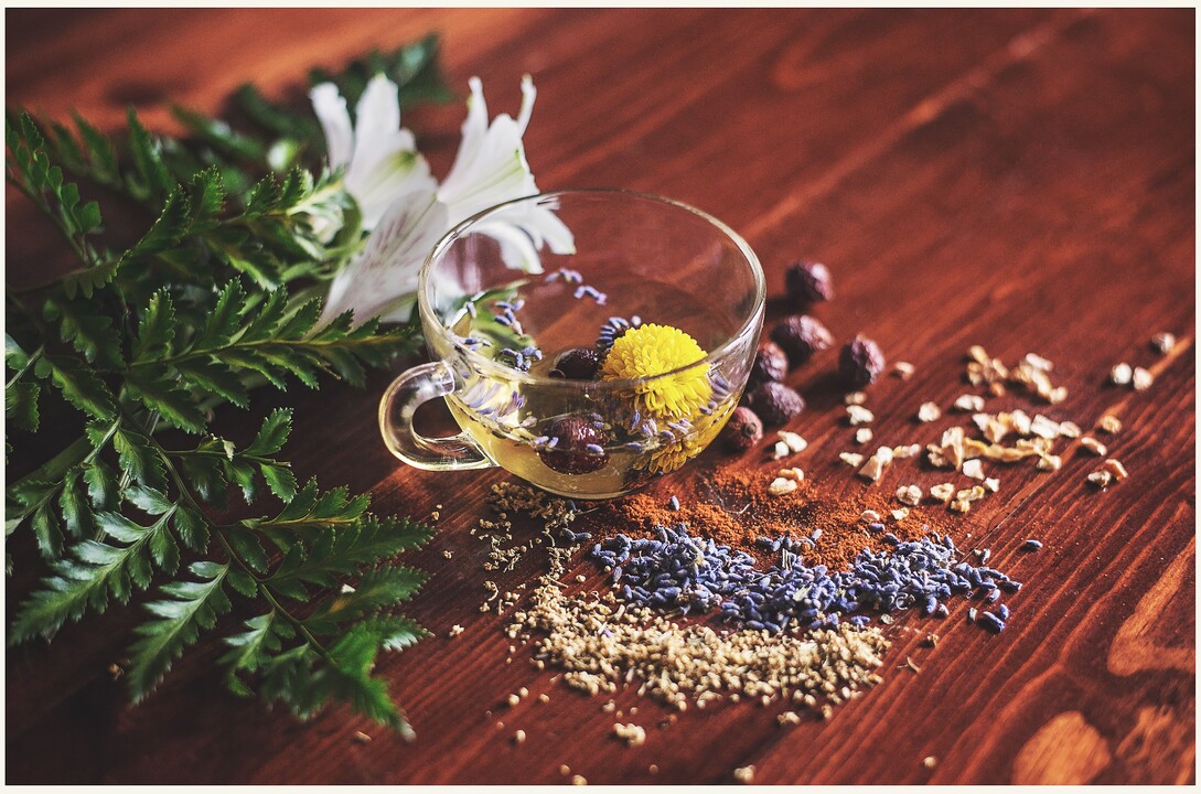 Medicinal Herbs, Exploring the power of natural remedies