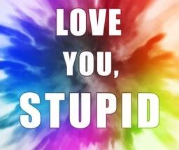 I Love You, Stupid