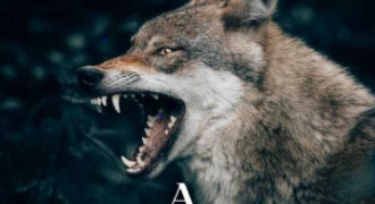 Read “A Rogues Claim” Ebook Review