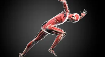 Speed Training: How to Boost Your Fast Twitch Muscles for Quicker Movements