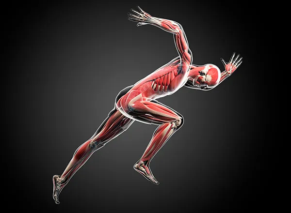 How to Boost Your Fast Twitch Muscles for Quicker Movements